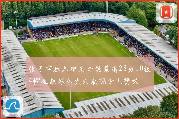 张子宇独木难支全场最高28分10板4帽难救球队失利表现令人赞叹